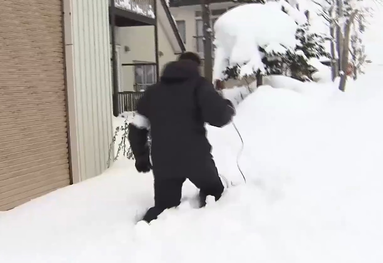 埋まってしまった歩道