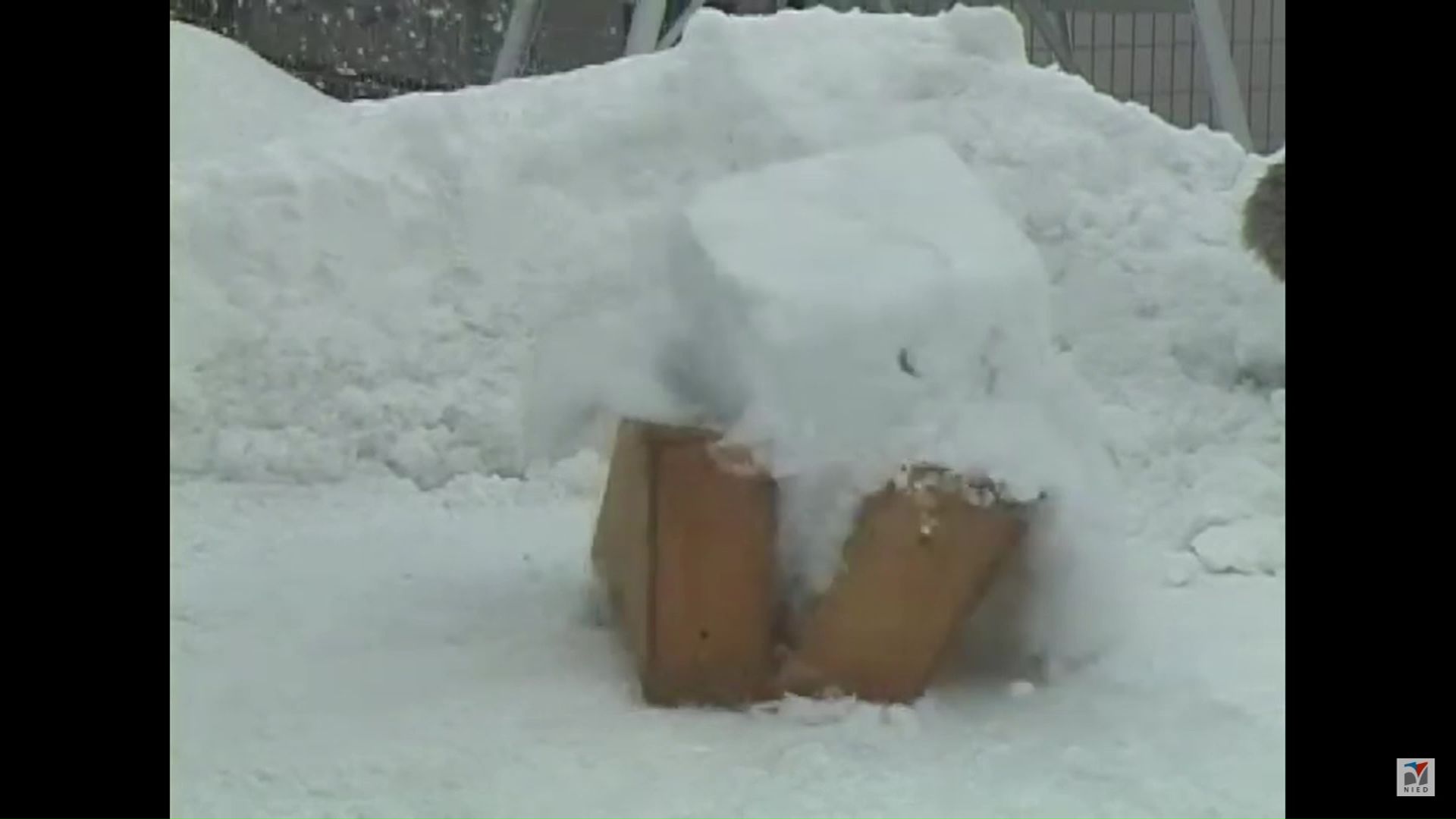 提供：防災科学技術研究所