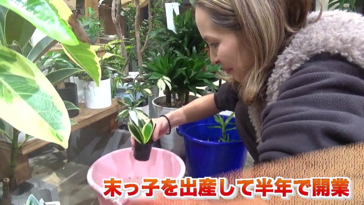 末っ子の生後半年でお店をオープン