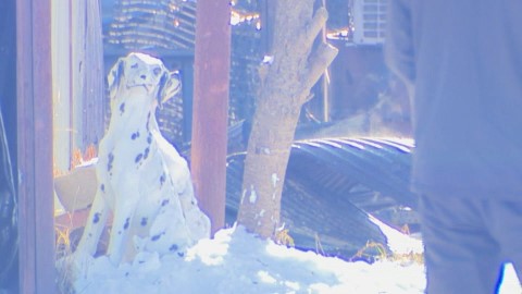 火事があった現場