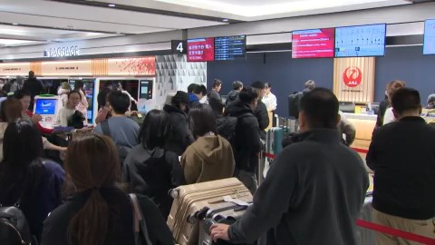 日本航空のカウンターは混雑（午前10時30分ごろ）