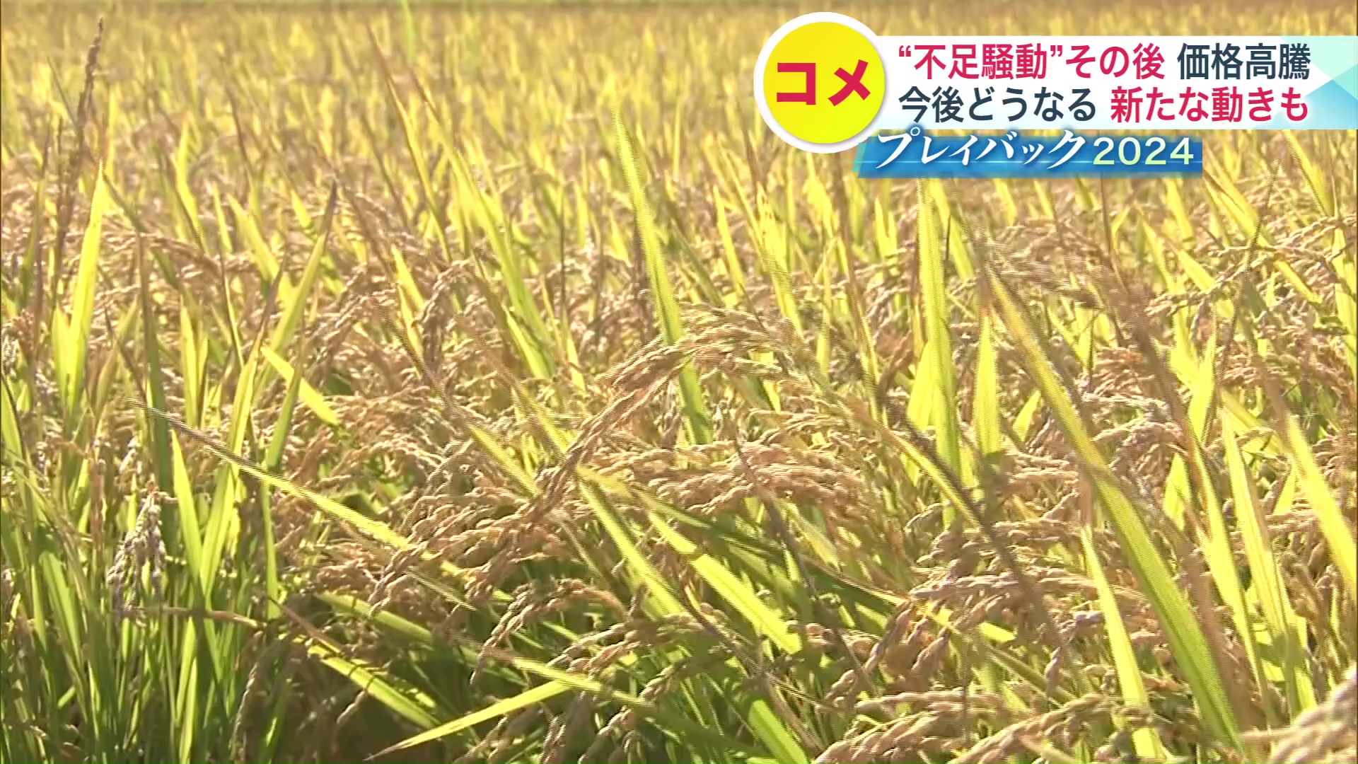 価格高騰で今後どうなる？