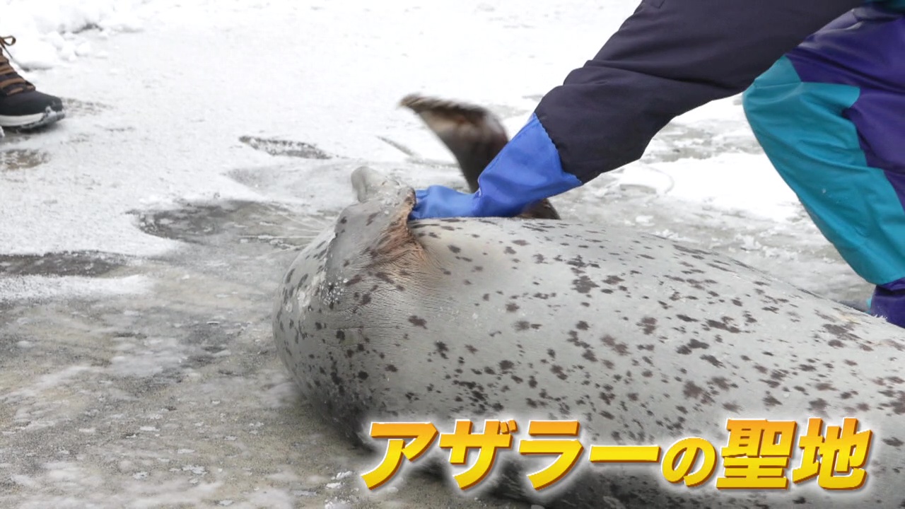 アザラーの聖地に