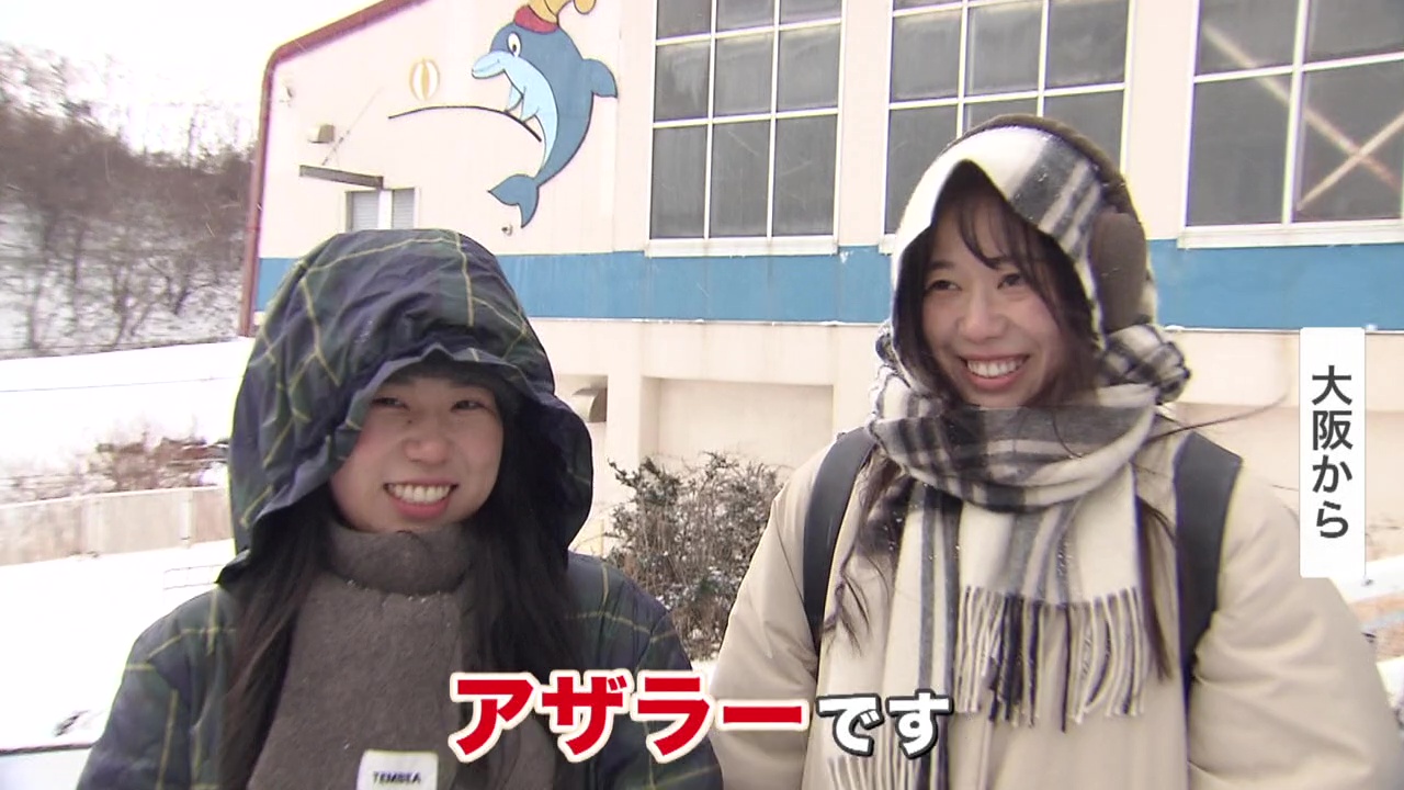 「アザラー」が急増中