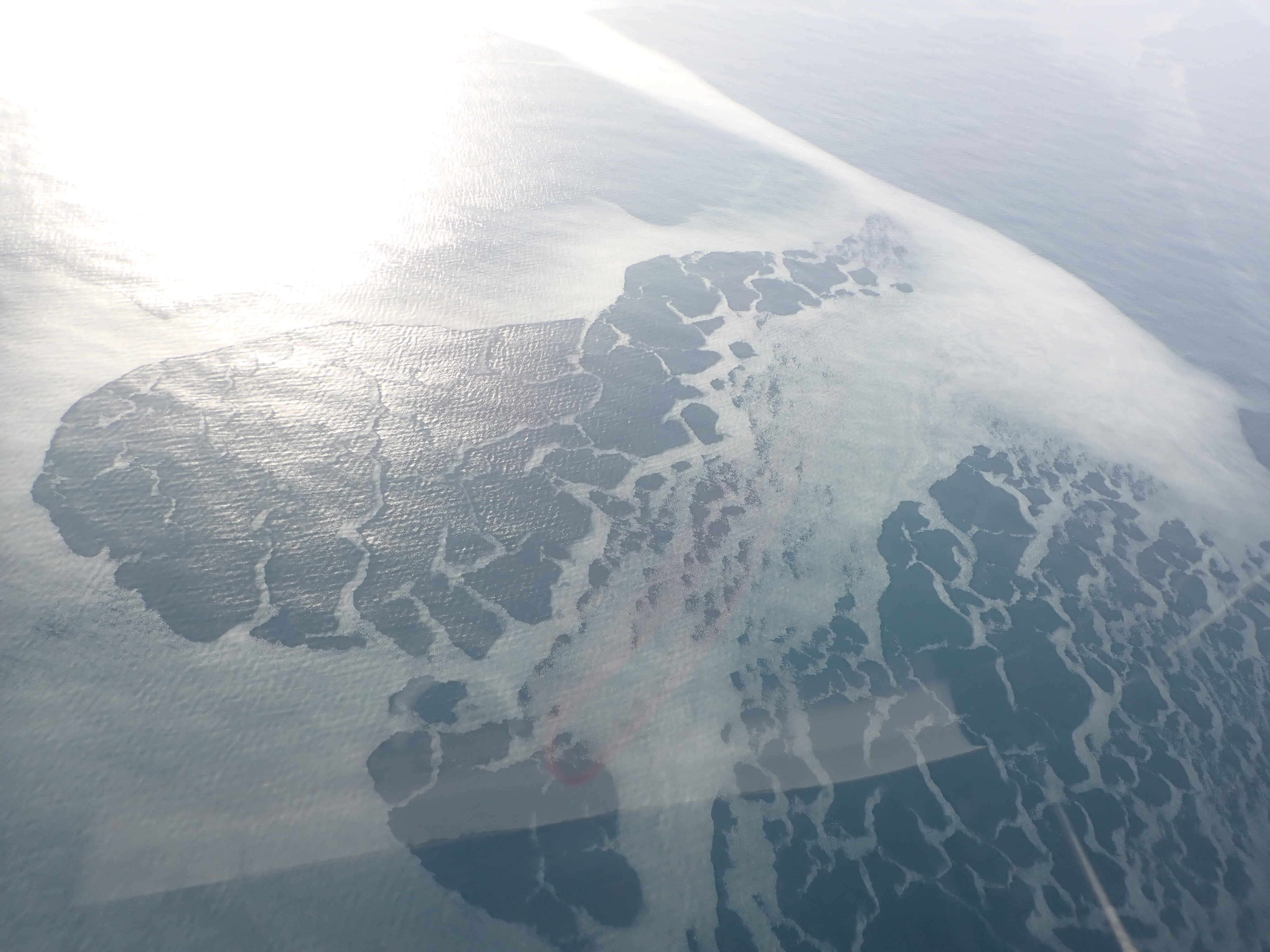 今季航空機で初めて観測された流氷（提供：第一管区海上保安本部）