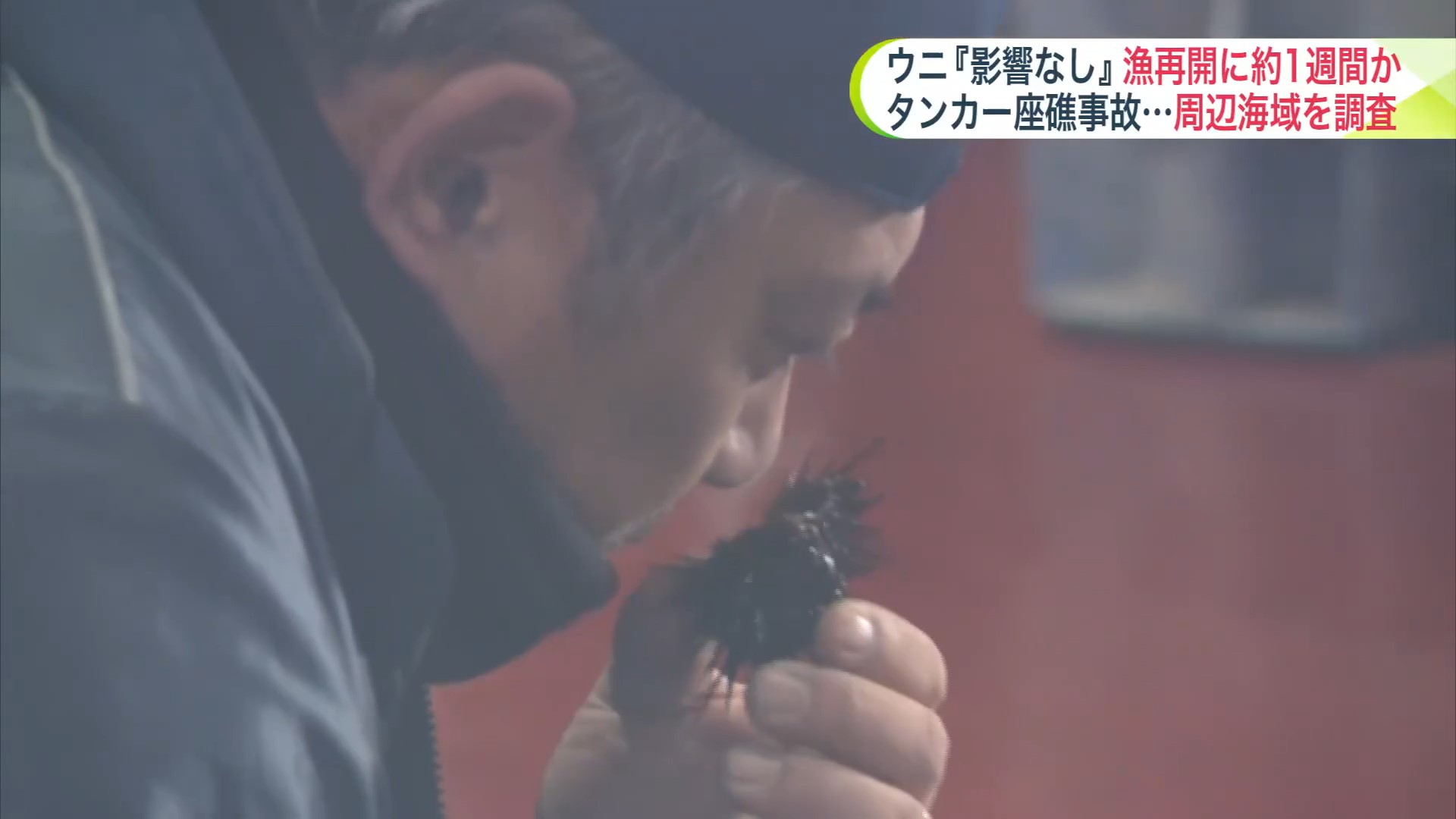 ウニへの影響はなし