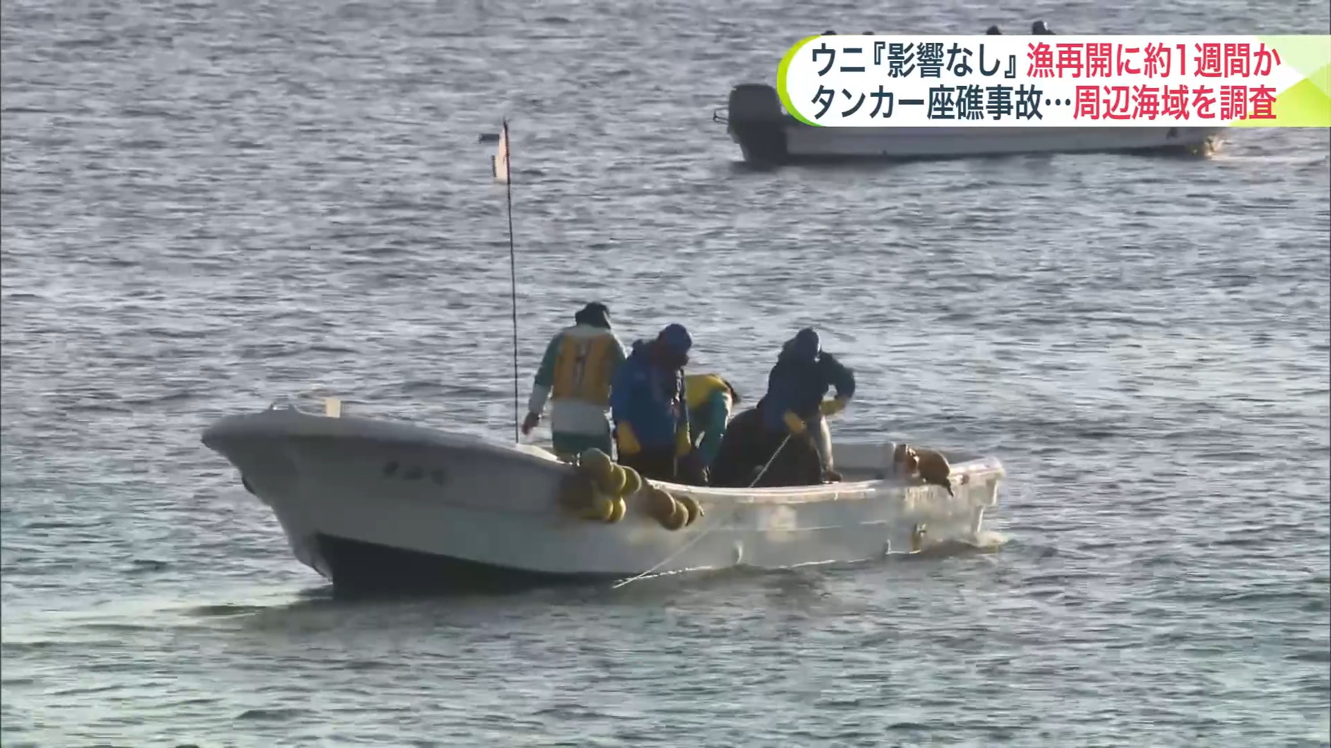 海藻類の調査も今後行う