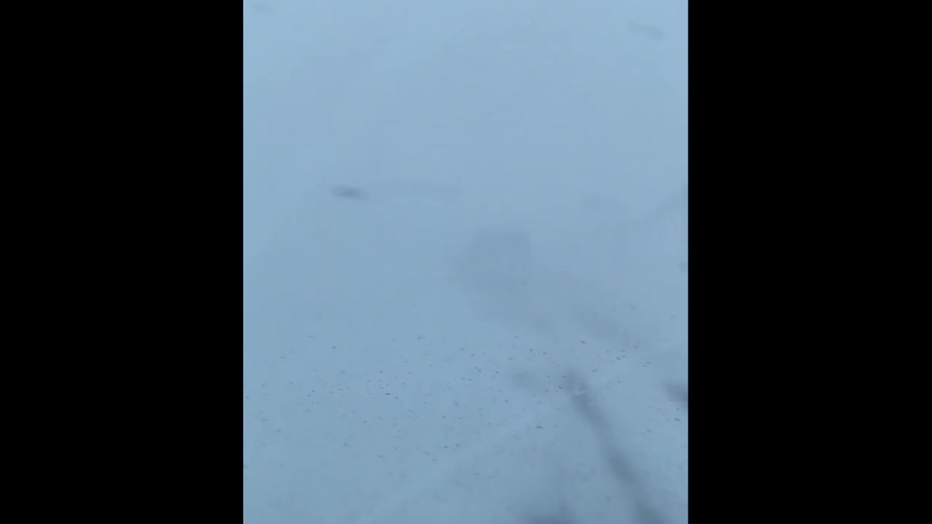 ホワイトアウトで前方の車が見えない…(視聴者が提供)