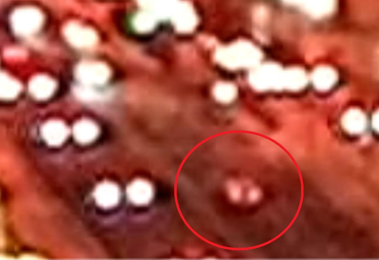 対向車が停止しているのに、そのまま突っ込む乗用車