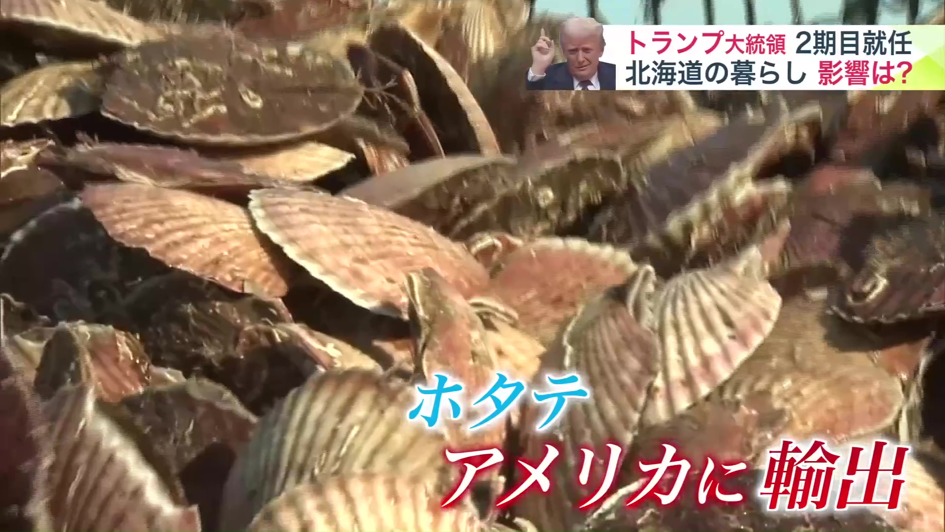 特産品のホタテは海外に輸出