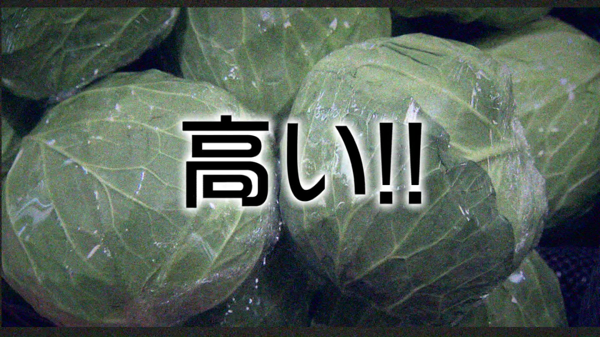 令和のキャベツ騒動