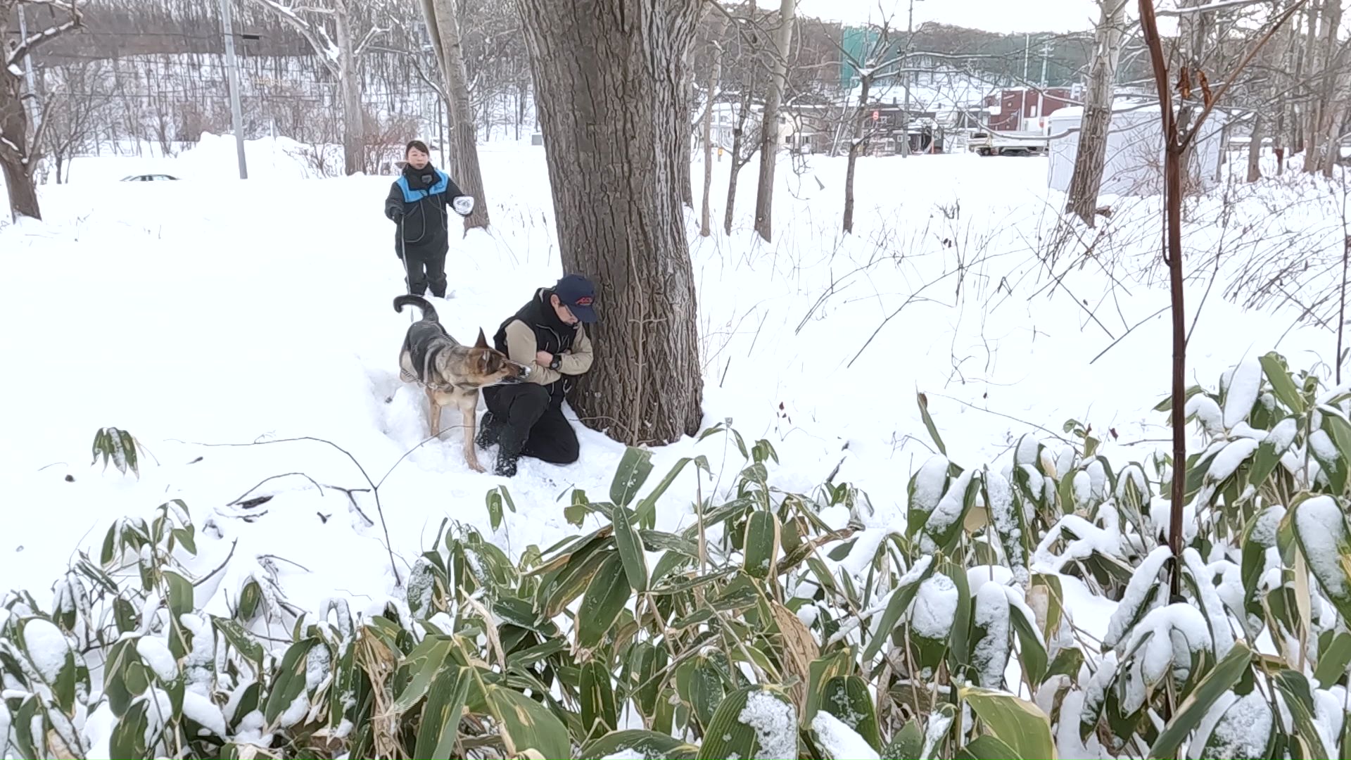 犯人役は見つけられたが…
