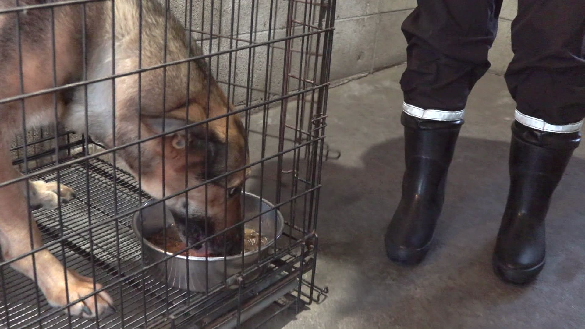 朝ごはんは「あっという間」に