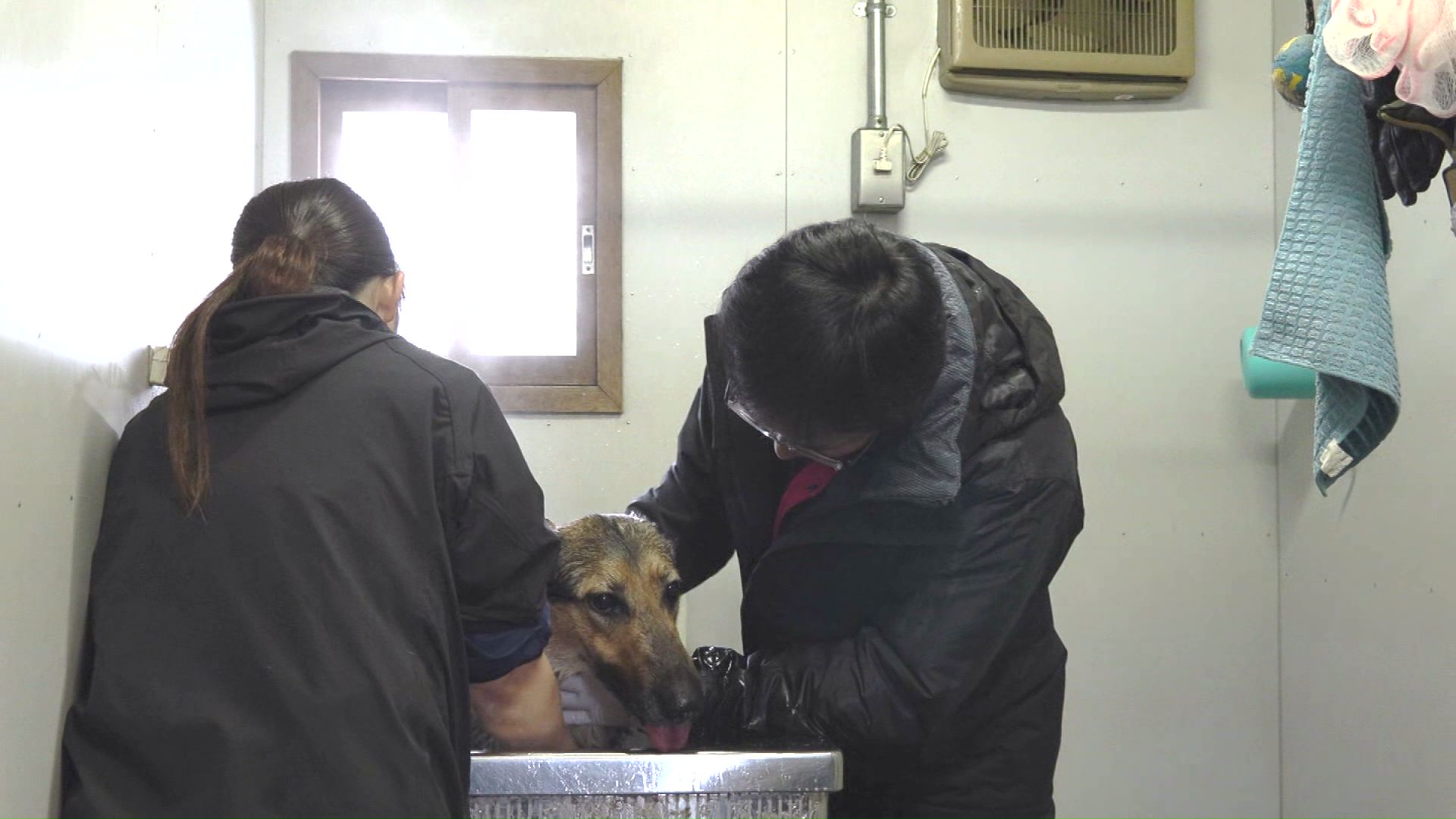 上司の手助けもあり落ち着きを取り戻す