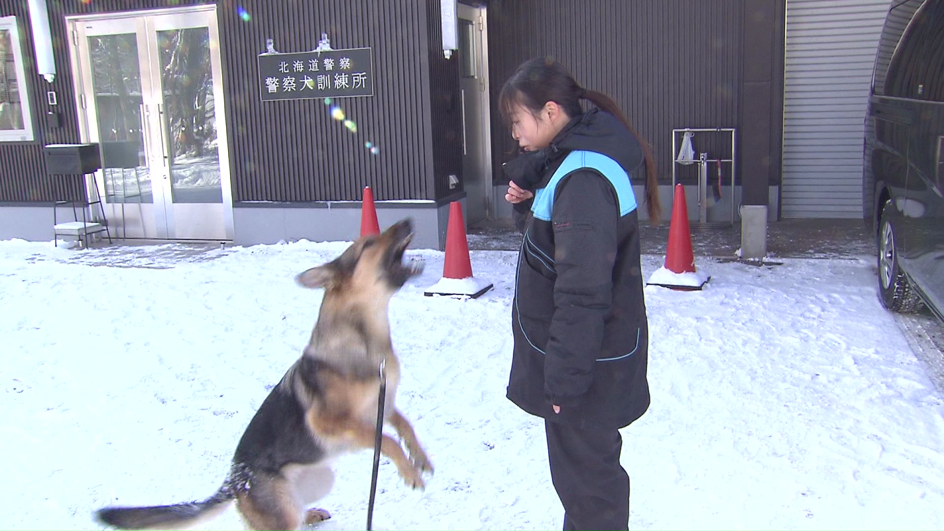 指示通り吠えることも