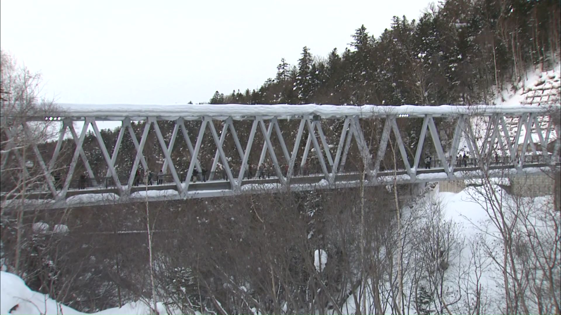 男性が発見された現場付近（美瑛町）