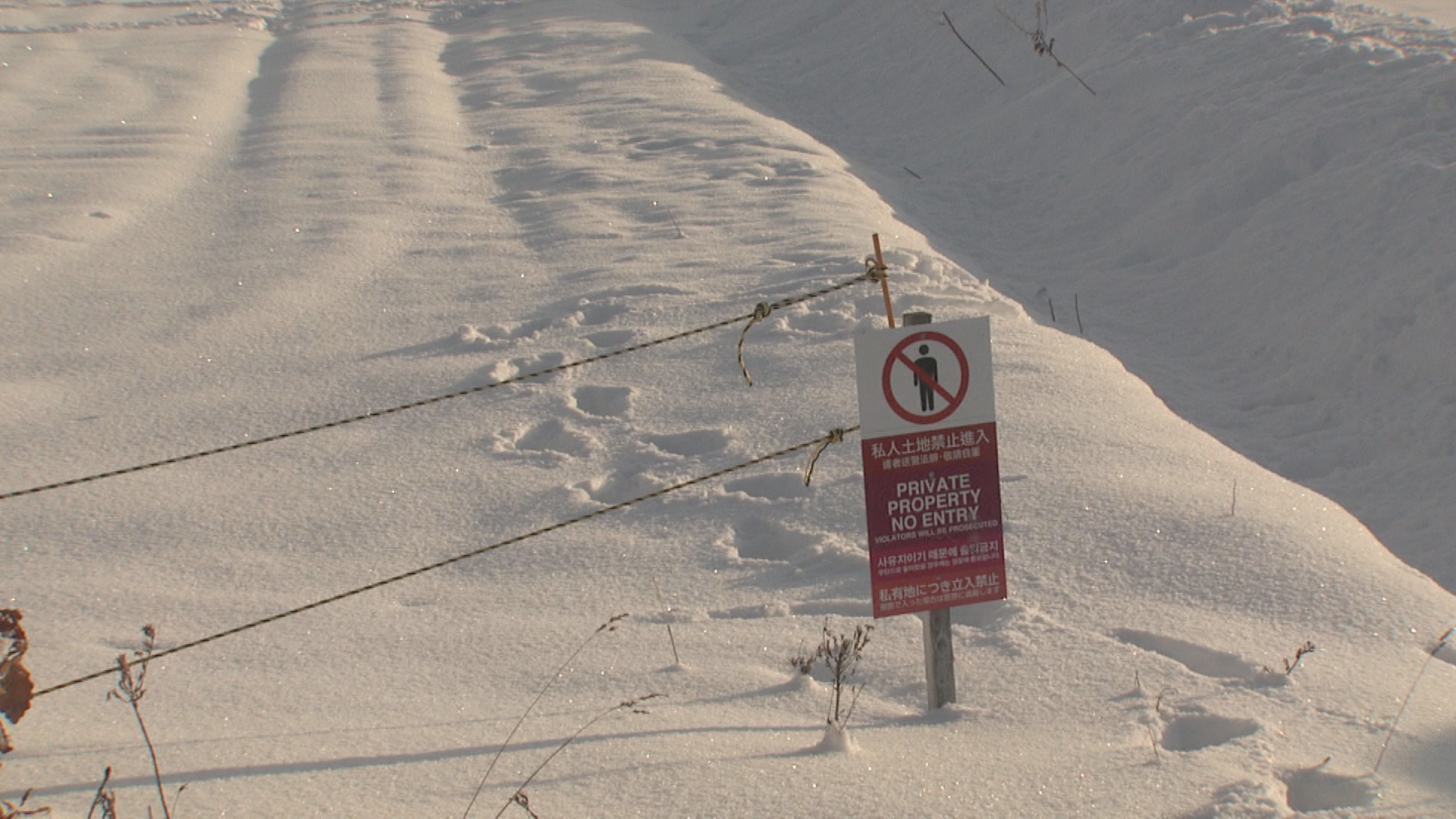 立ち入り禁止と書かれた看板横から畑に侵入している足跡