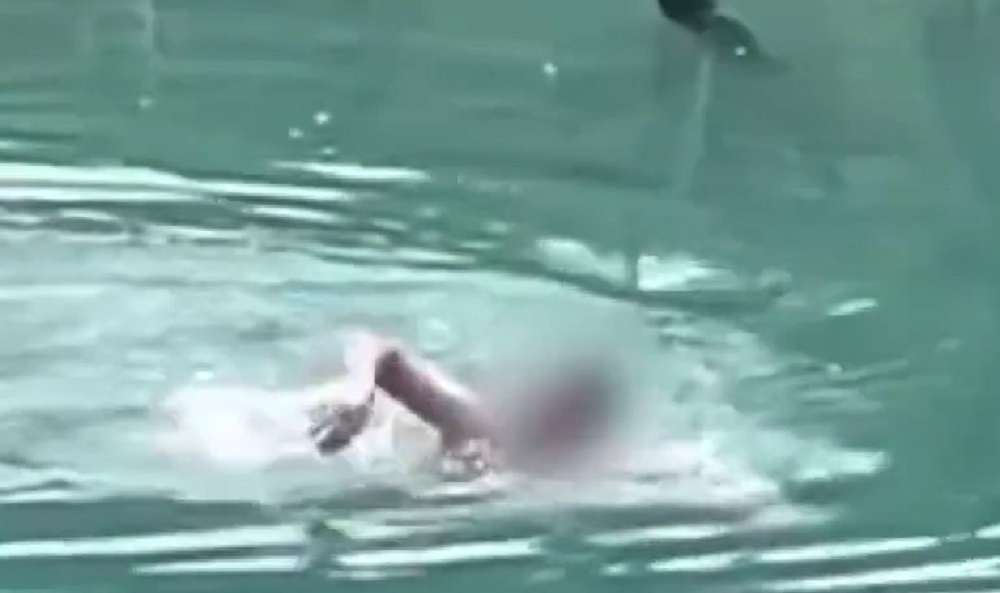 白金青い池で泳ぐ外国人とみられる男性（撮影：谷トモさん）