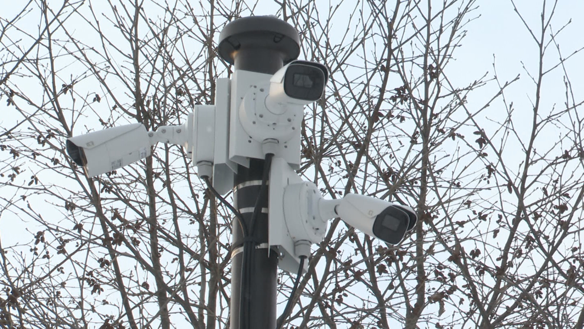 白金青い池に侵入した人を検知するAI搭載カメラ