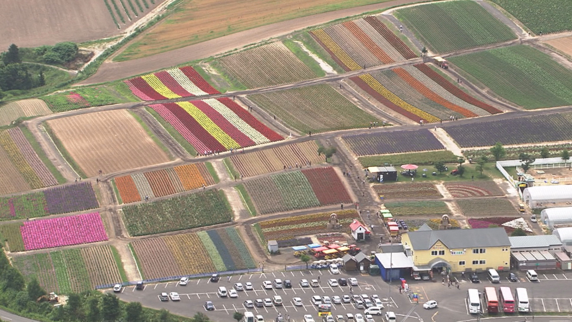 色鮮やかなパッチワークの丘