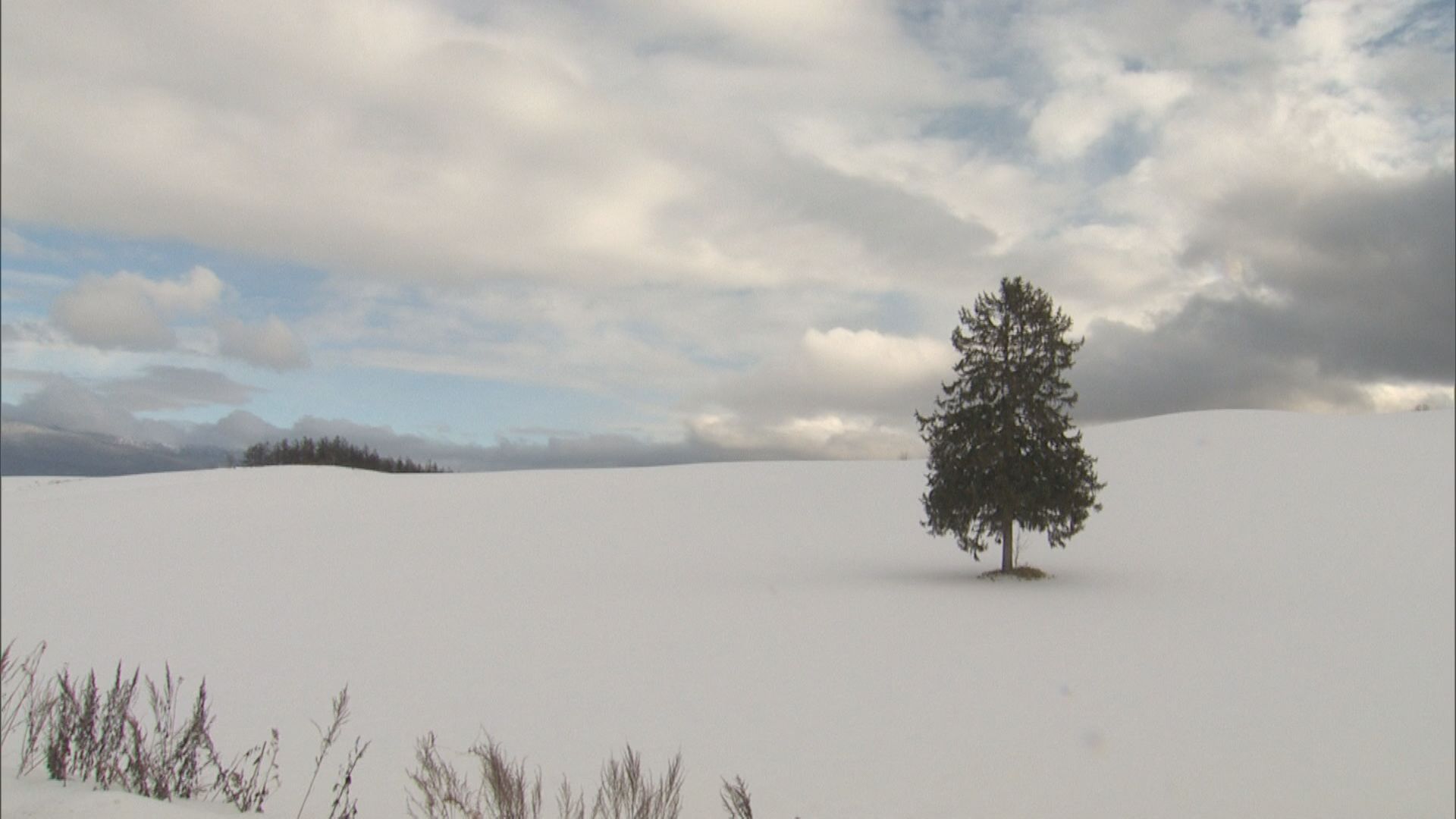富良野市内にフォトジェニックなスポットがいくつもある