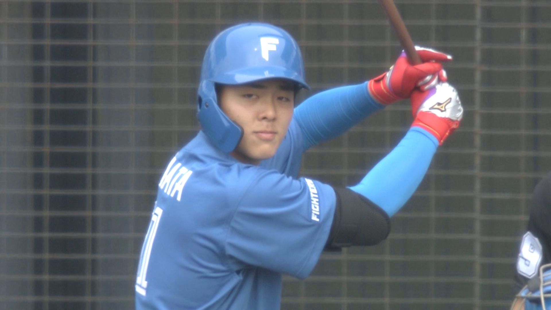 ファイターズ・ドラフト1位ルーキー柴田獅子(しばた・れお)選手