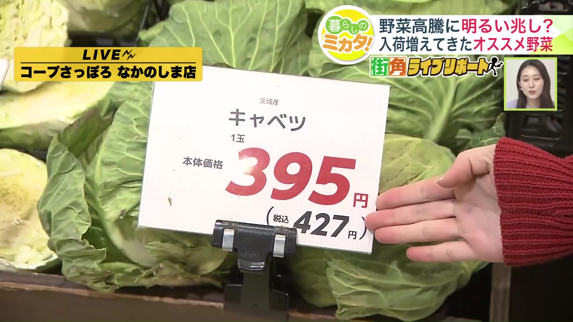 茨城産キャベツ1玉