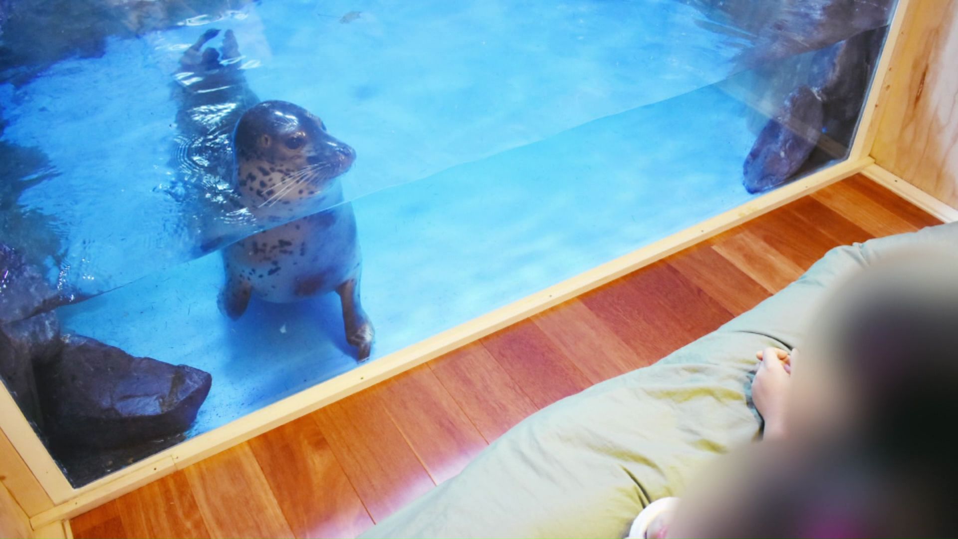 ノースサファリサッポロの動物