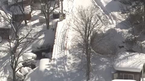 問題となった園内の橋（資料）