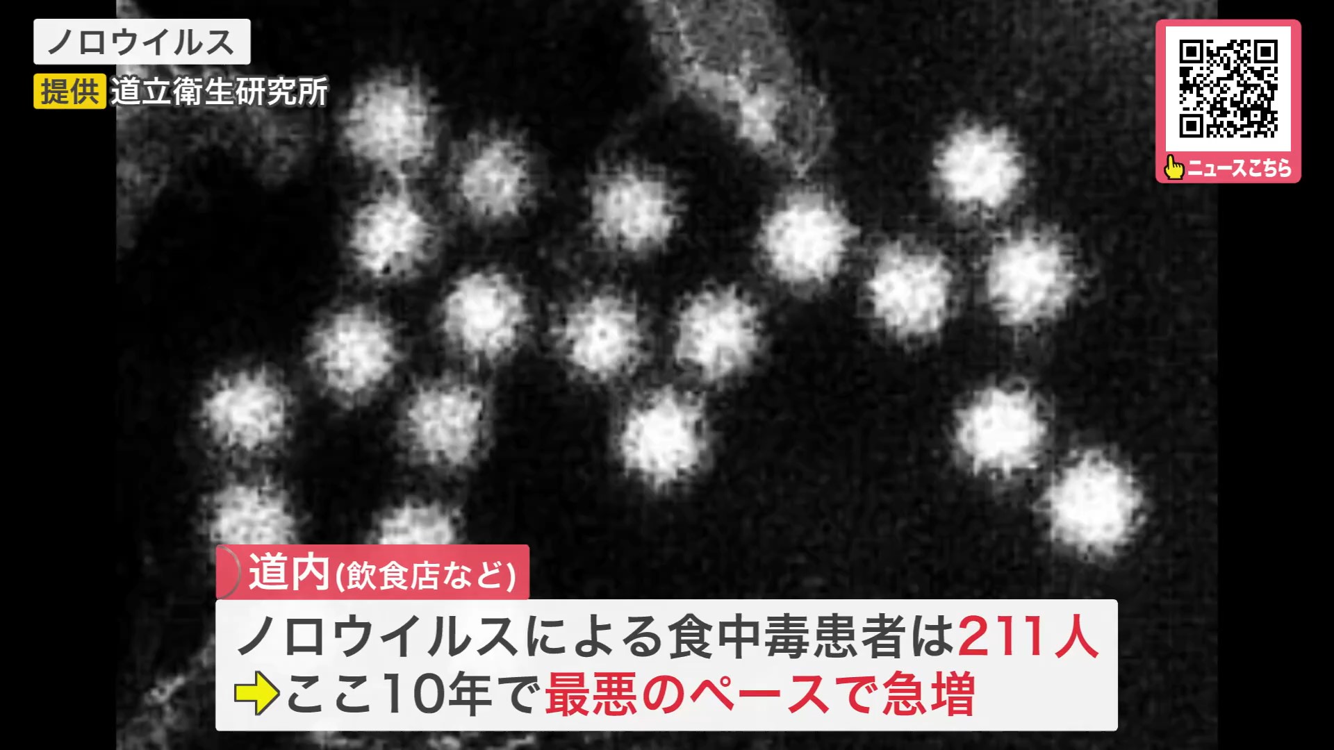 ノロウイルス(提供:道立衛生研究所)