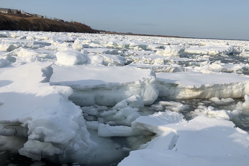 16日には姿を消したイルカ…現場は氷で覆われた