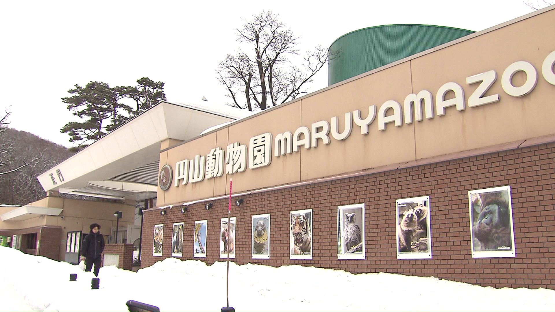札幌市円山動物園