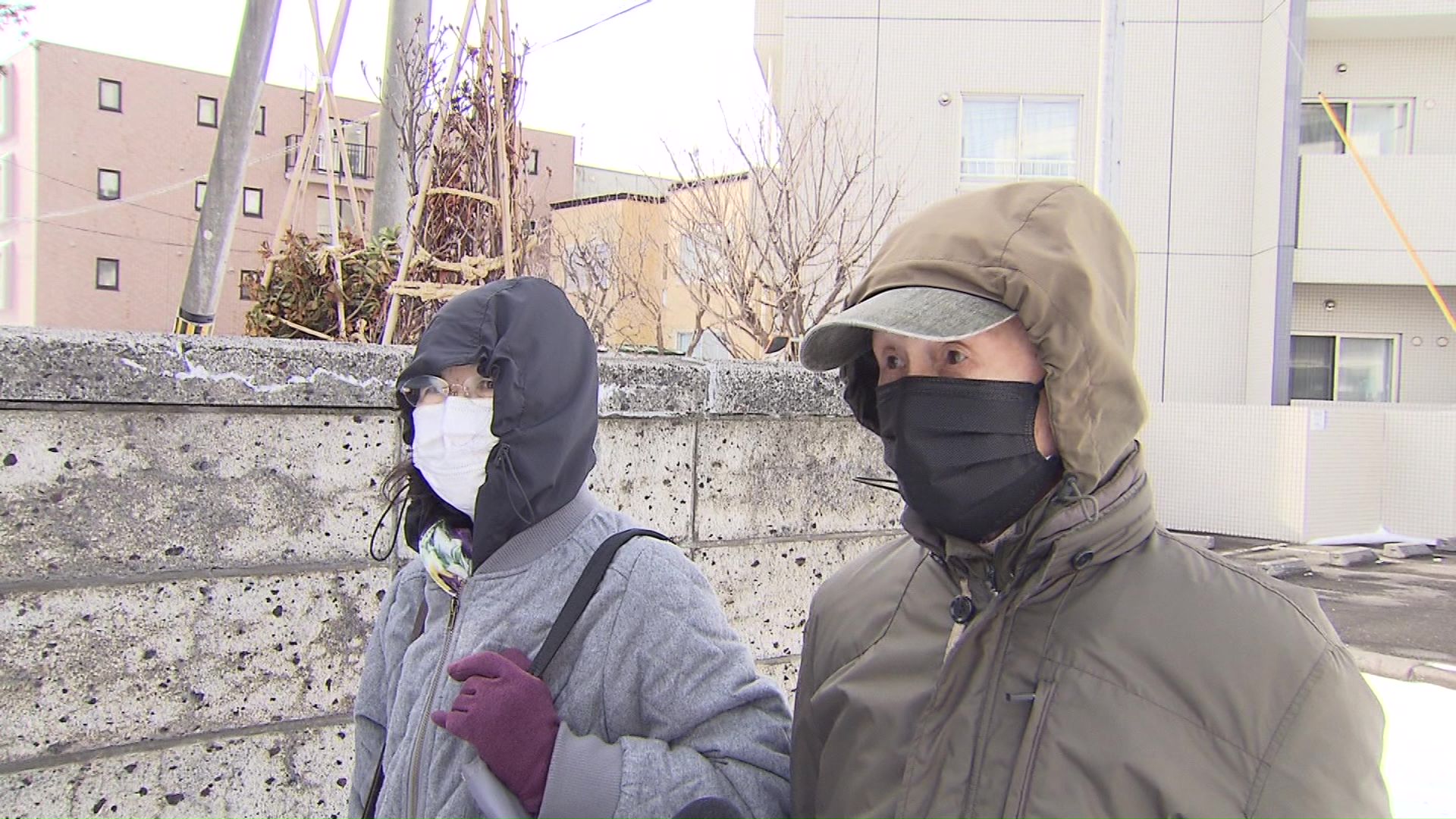 厚別ふれあい循環線の利用客