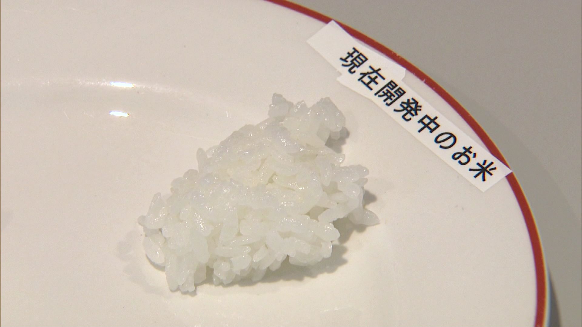 鈴木知事が試食した「現在開発中のコメ」