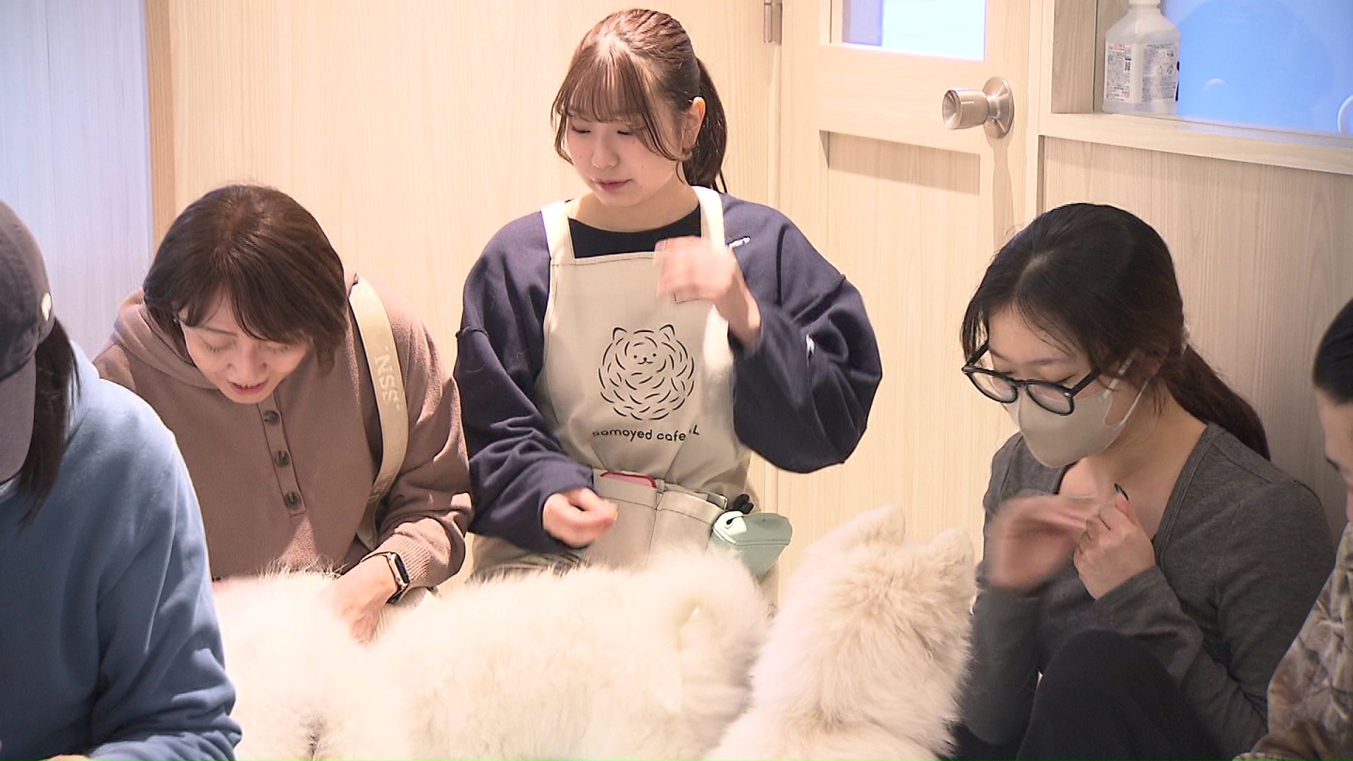 サモエドスマイルを求めてお店は大盛況