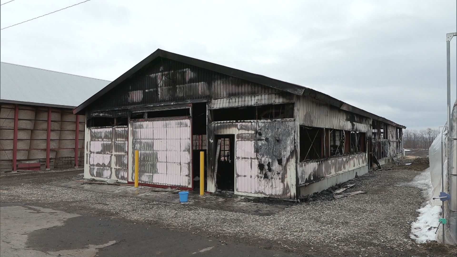 火事があった農場の牛舎