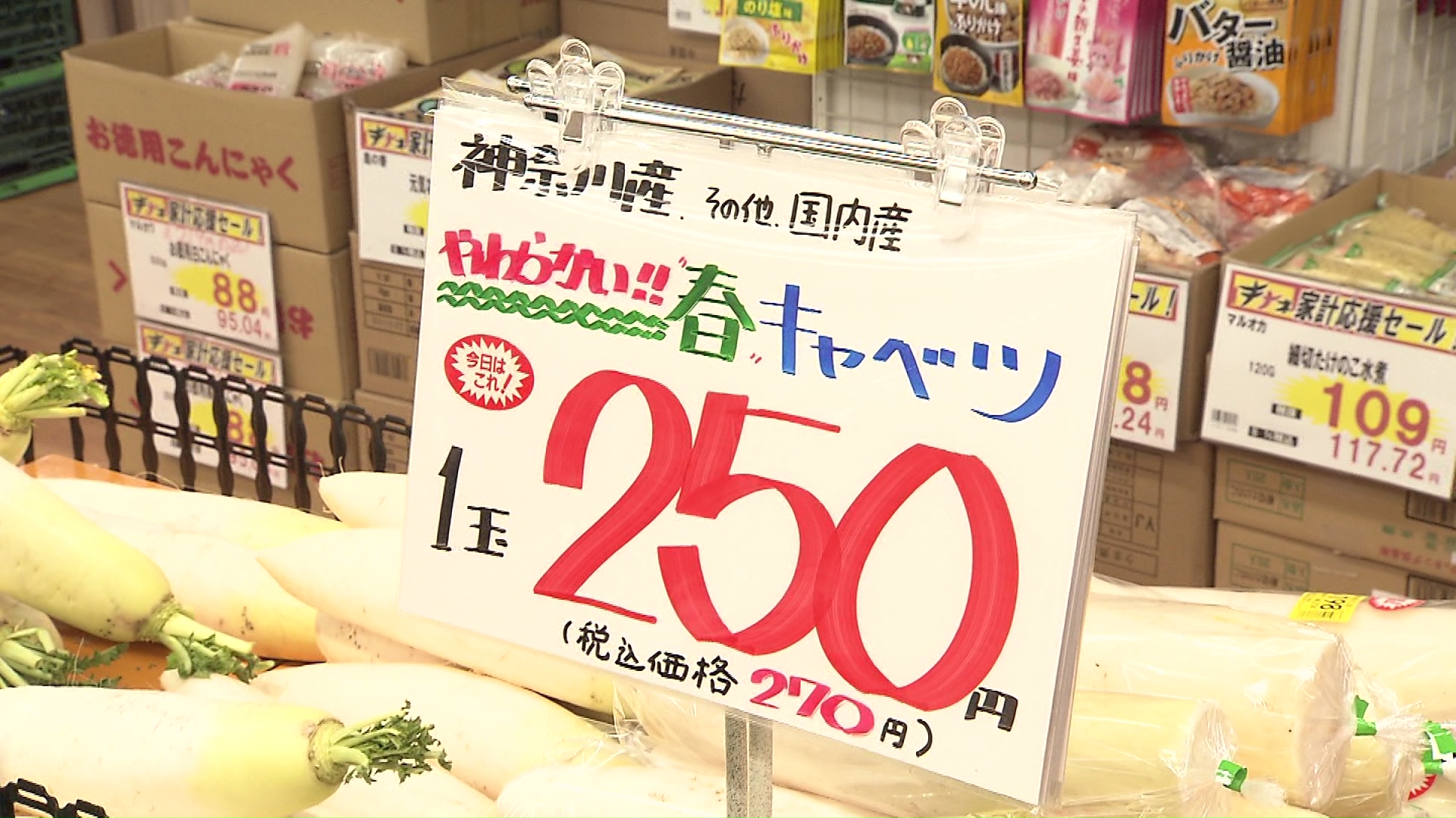 キャベツが税込みで270円（神奈川県産）