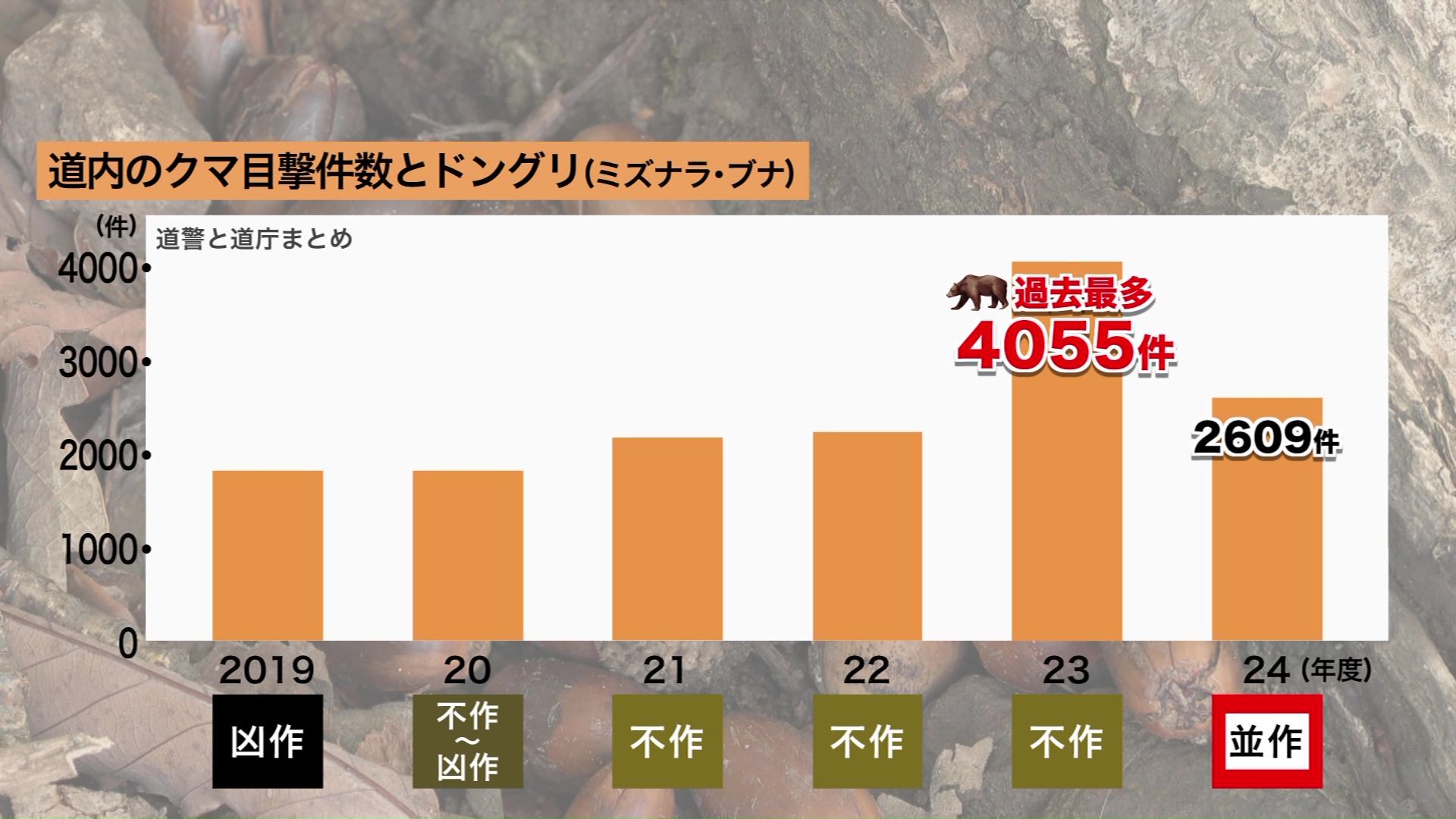道内のクマ目撃件数とドングリ