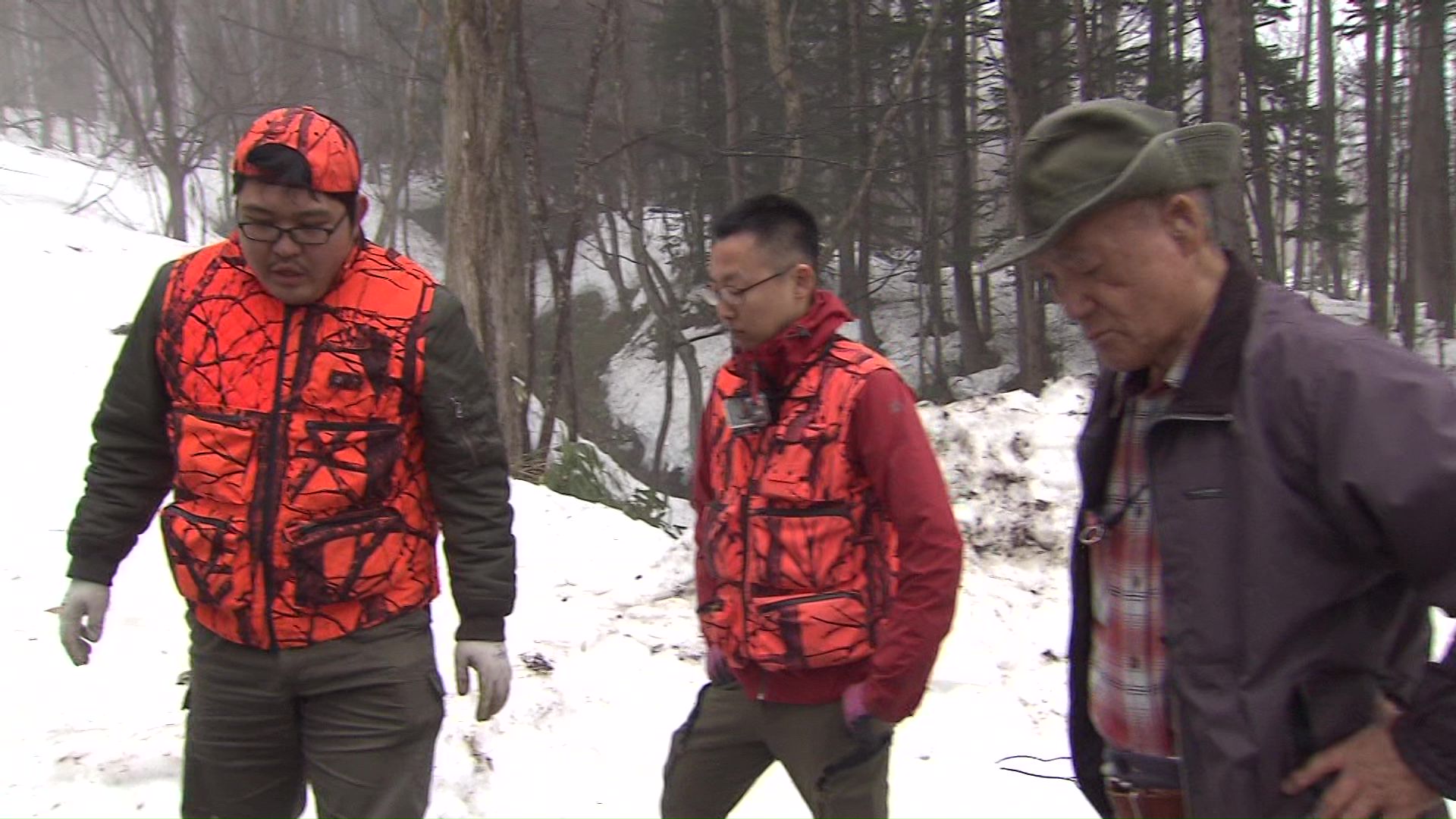クマの痕跡を確かめる原田さんたち