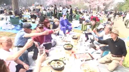 円山公園での花見ジンギスカンはもう過去のモノか…（2018年）