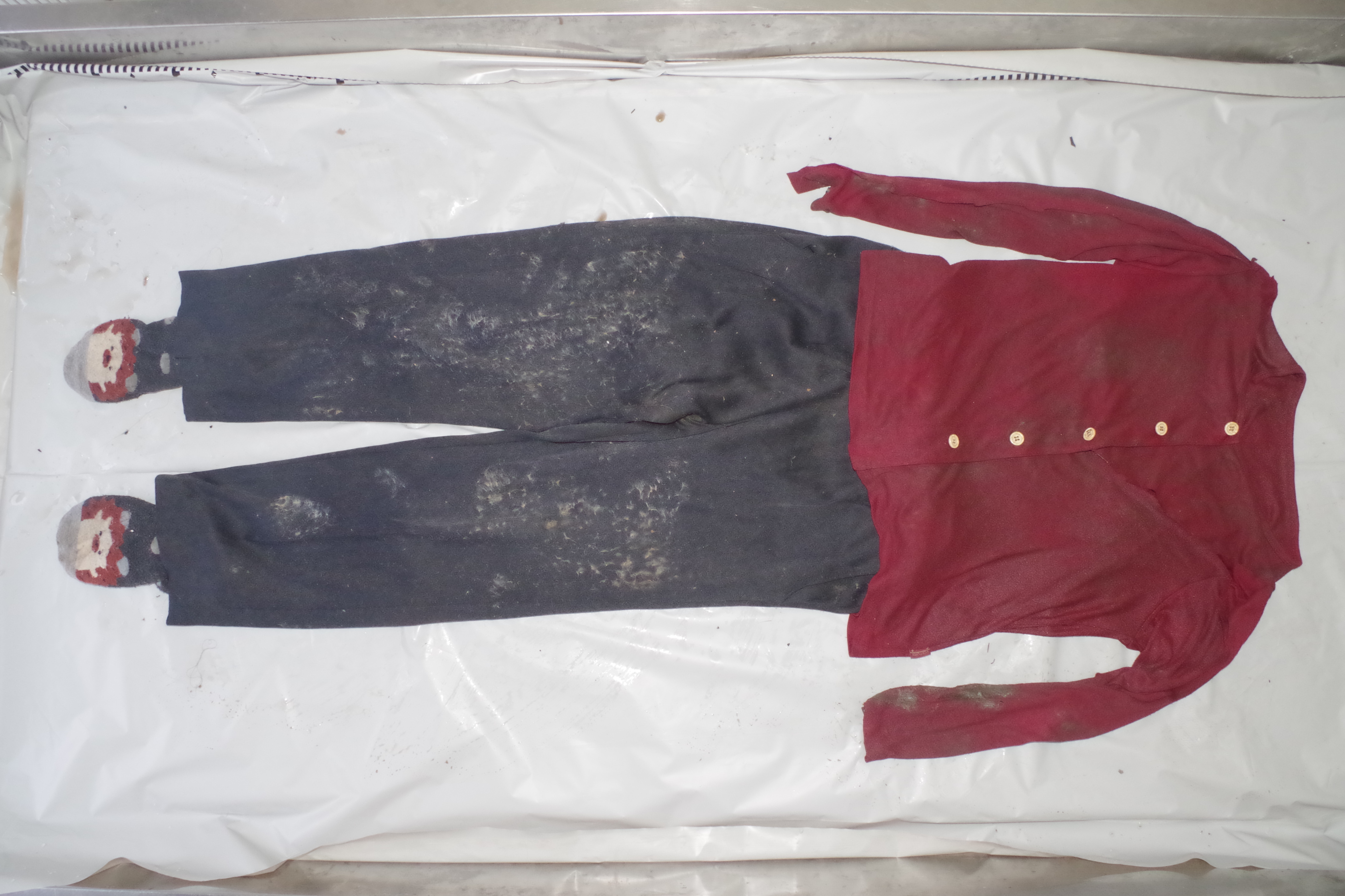 赤のカーディガン、黒と白のボーダー柄の半袖ニットシャツ(提供 道警)