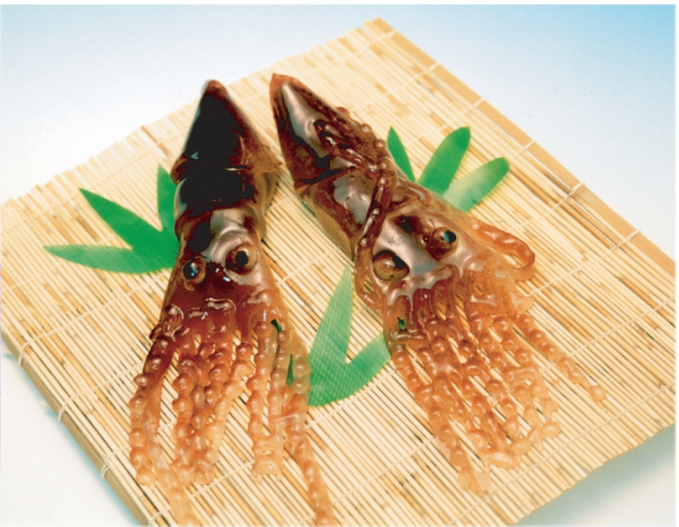 リアルすぎて人気の「いかようかん」