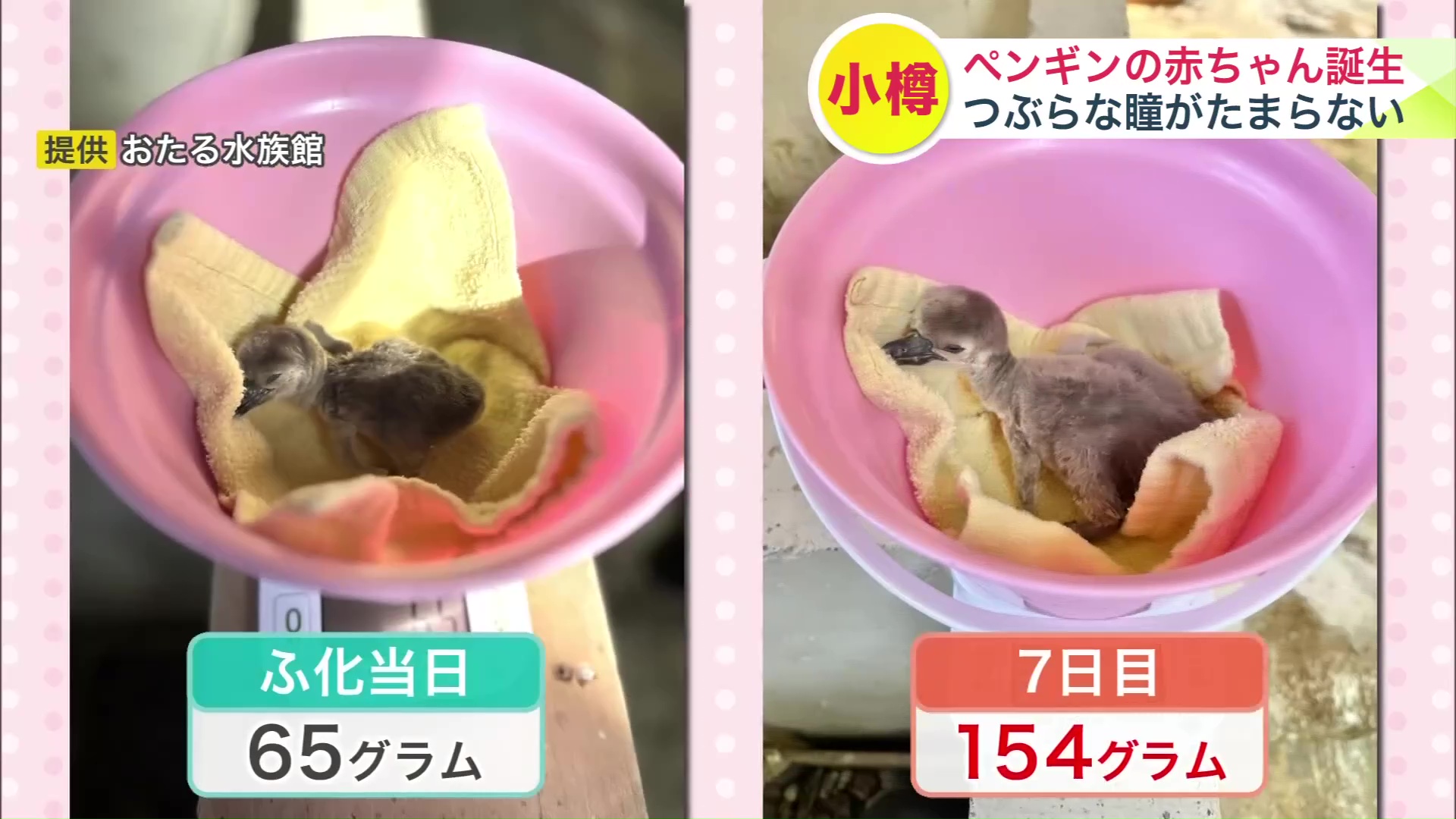 すくすくと成長