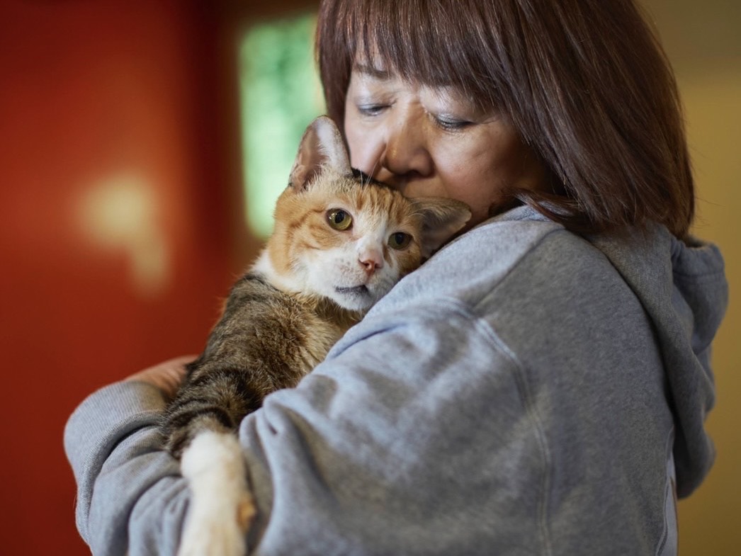 代表の吉井美穂子さんと保護された猫