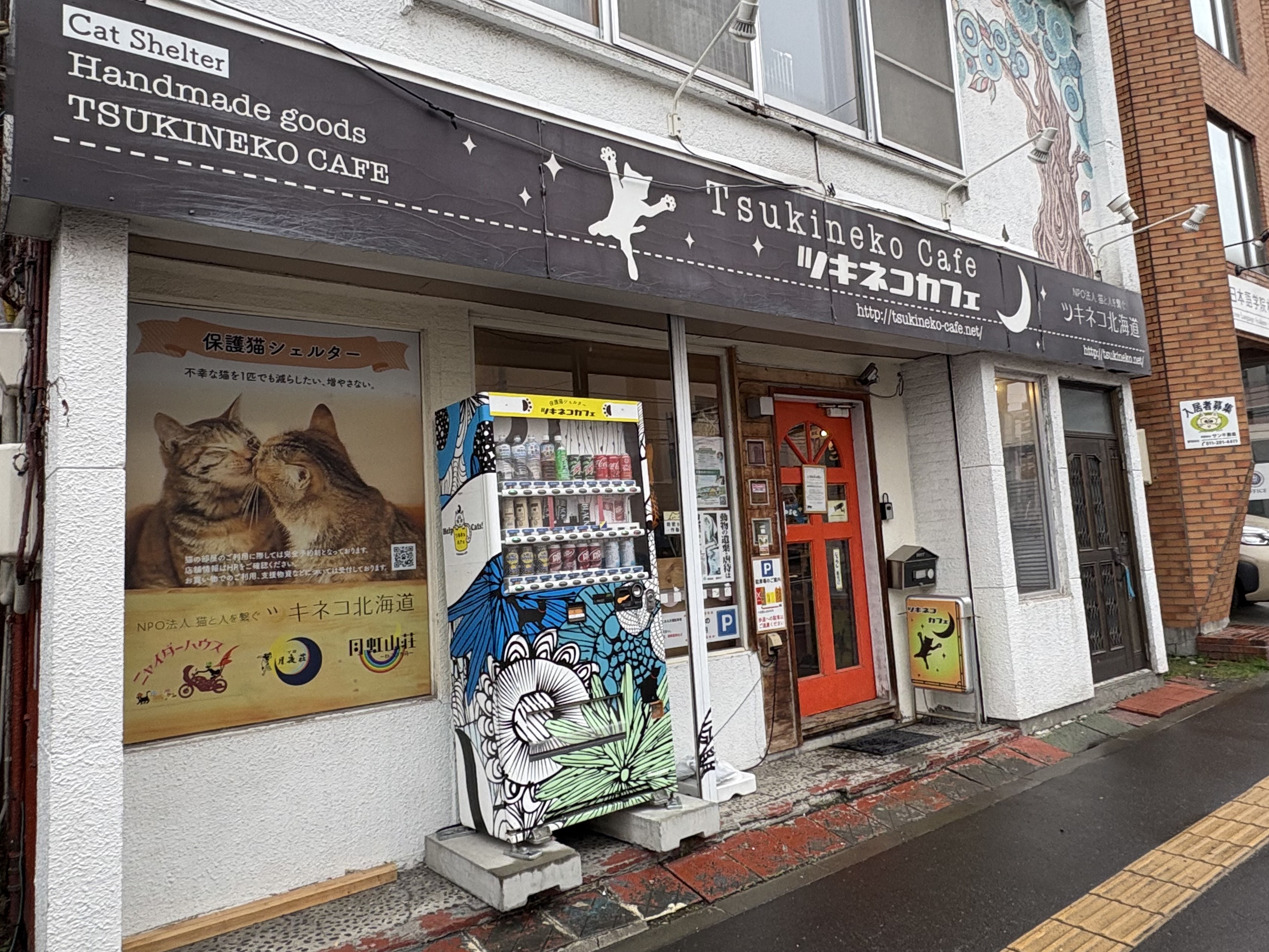 保護猫シェルターである『ツキネコカフェ』