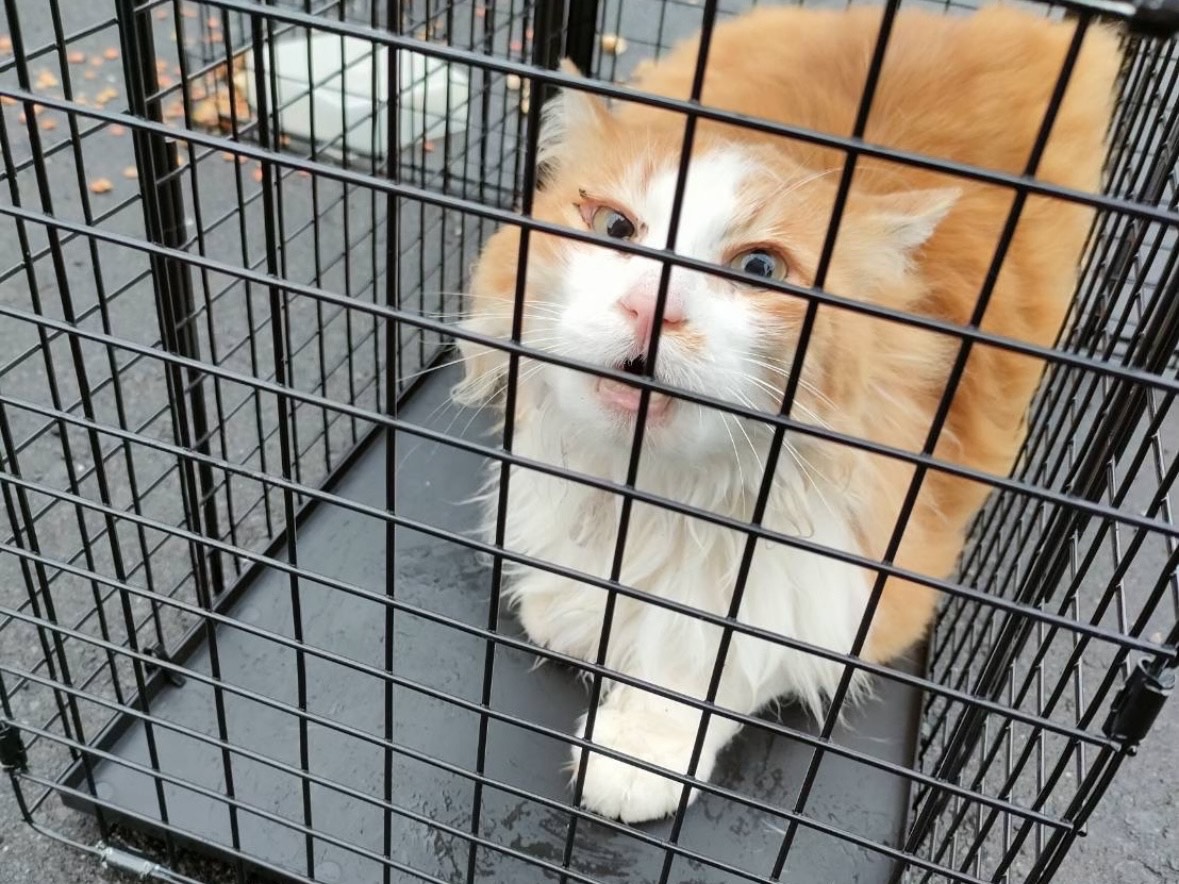 保護直後の「そうちょーくん」