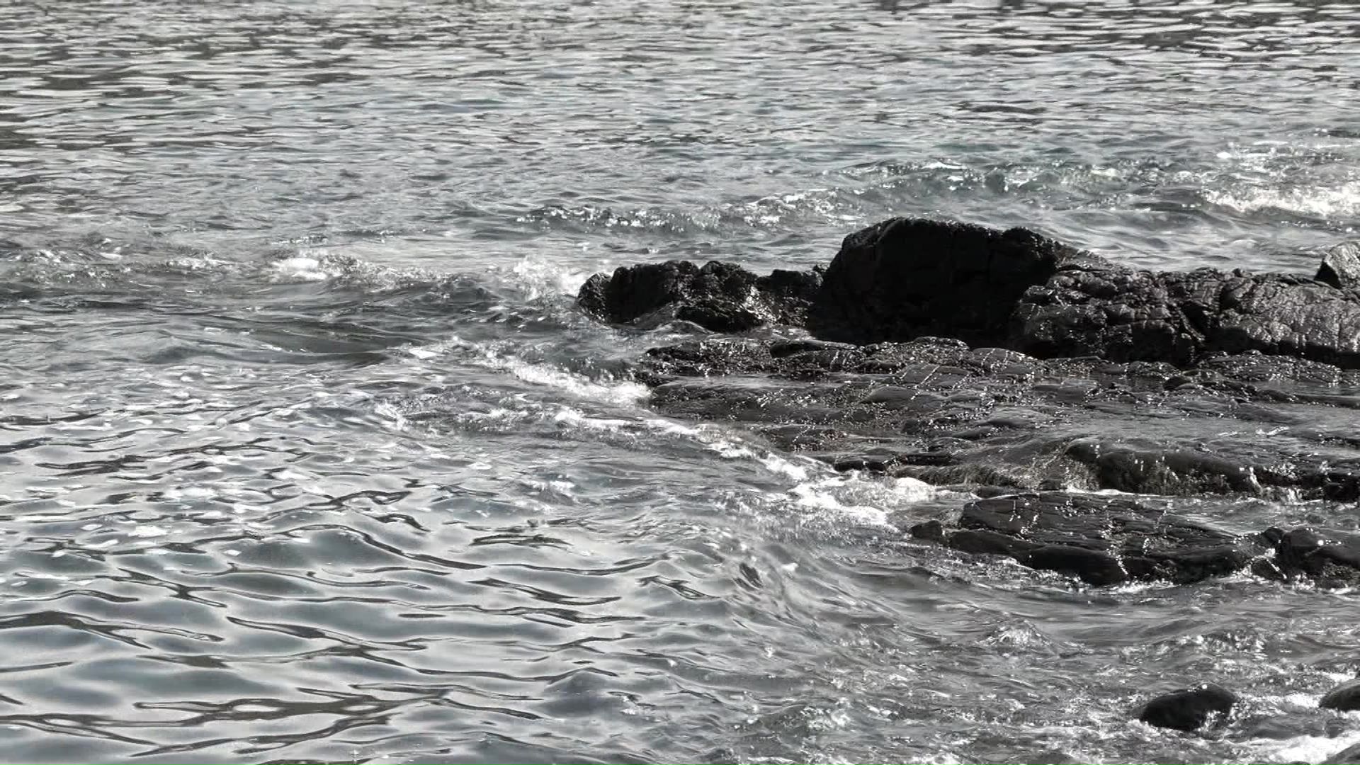 事故から3年を迎えた知床の海
