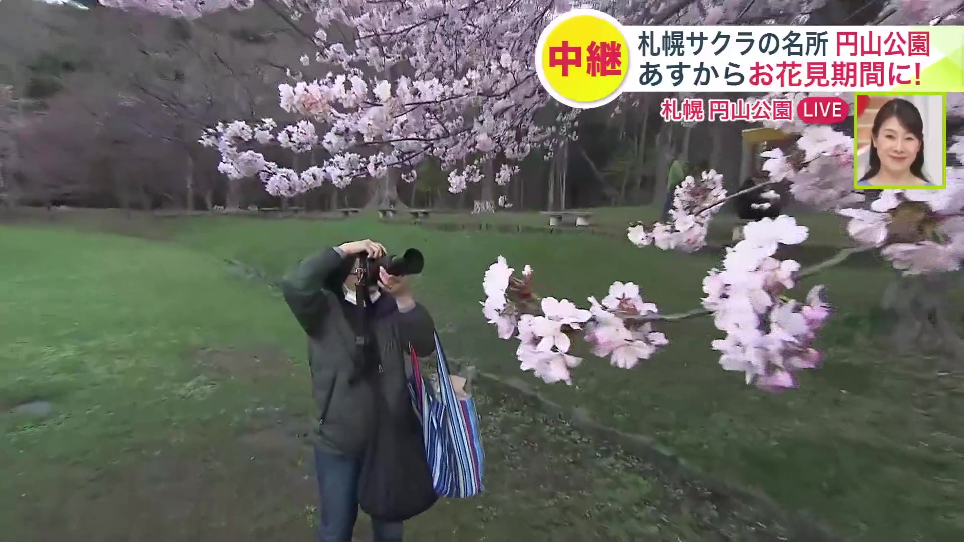 熱心に桜の写真を撮る人も