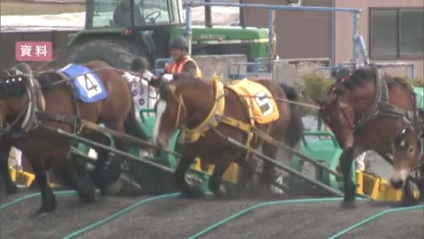 【資料】迫力あるレースが醍醐味のばんえい競馬