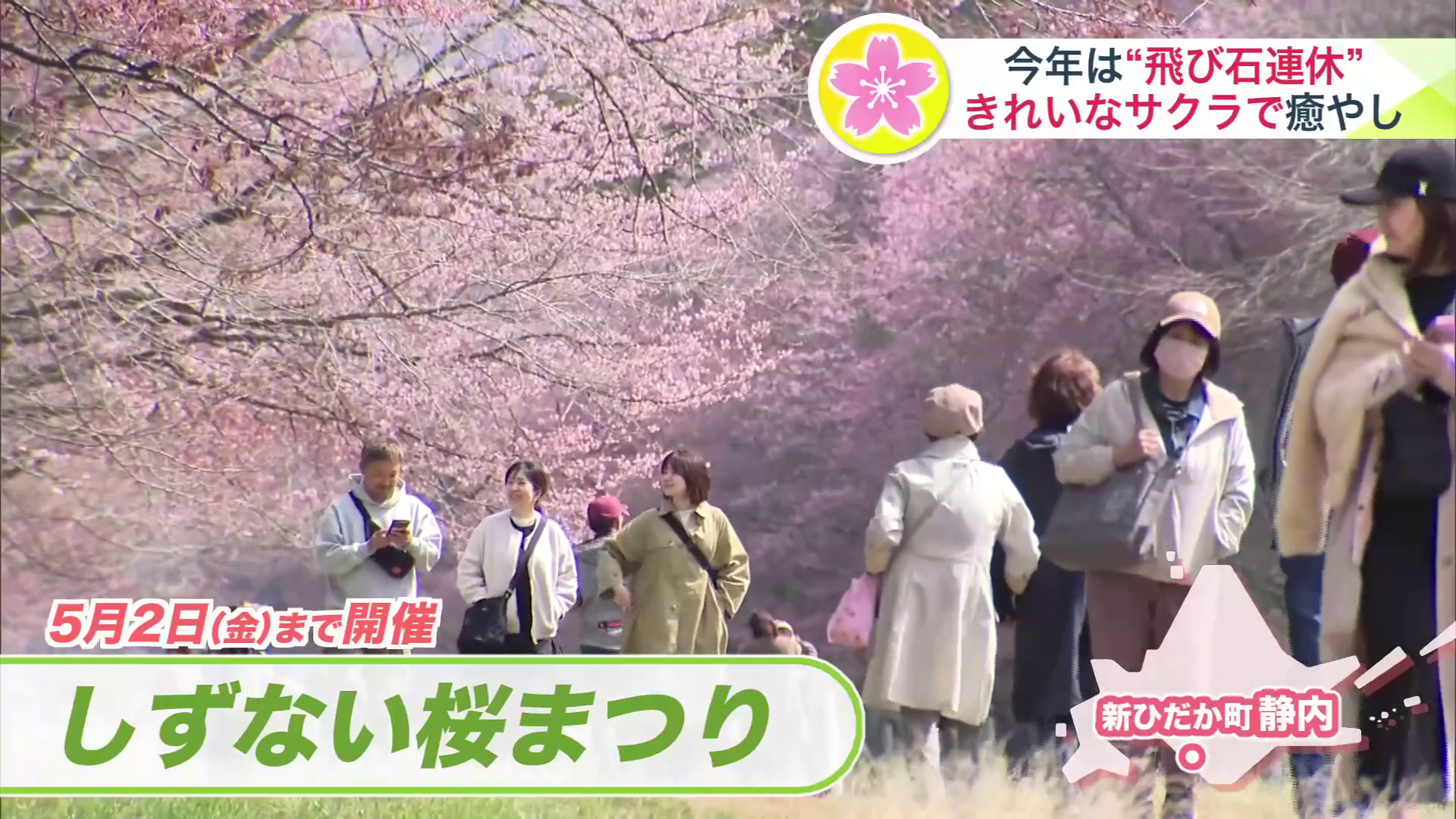 しずない桜まつり